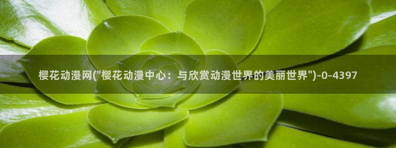 动漫排行
