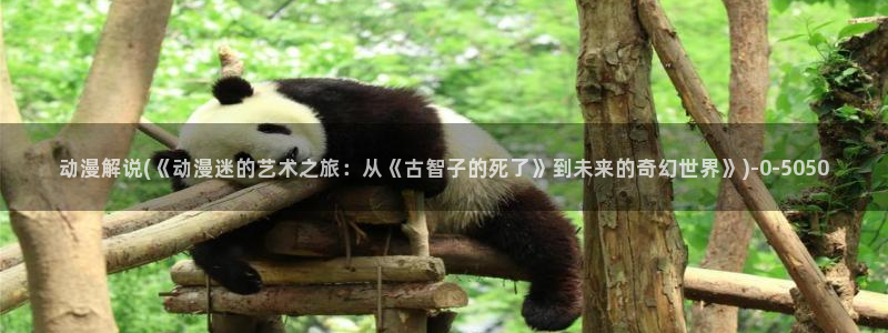 一拳超人动漫