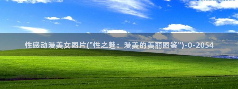 狂赌之渊动漫