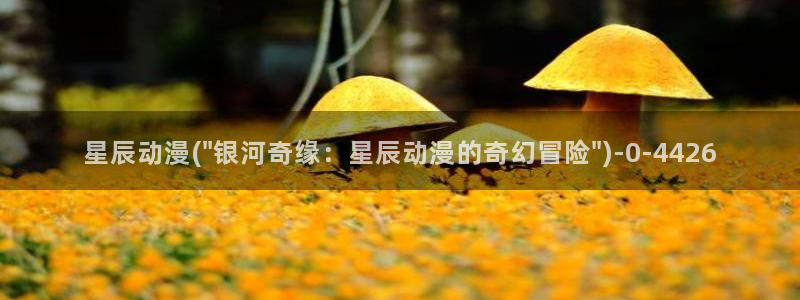 女装正太动漫